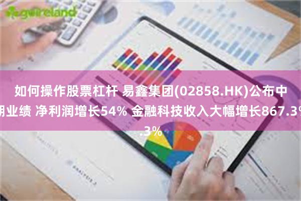 如何操作股票杠杆 易鑫集团(02858.HK)公布中期业绩 净利润增长54% 金融科技收入大幅增长867.3%