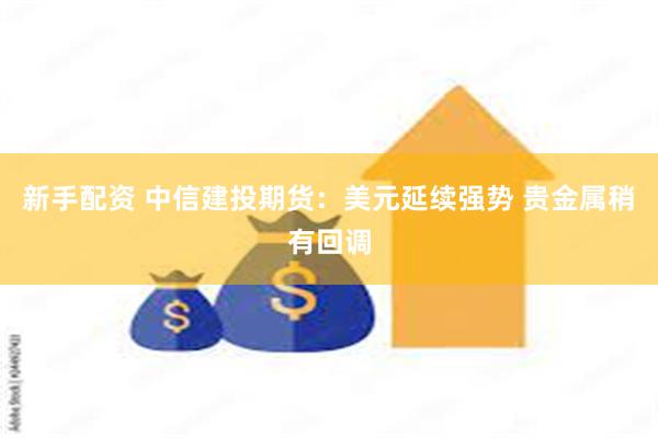 新手配资 中信建投期货：美元延续强势 贵金属稍有回调