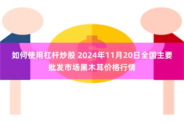 如何使用杠杆炒股 2024年11月20日全国主要批发市场黑木耳价格行情