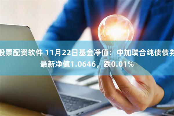 股票配资软件 11月22日基金净值：中加瑞合纯债债券最新净值1.0646，跌0.01%