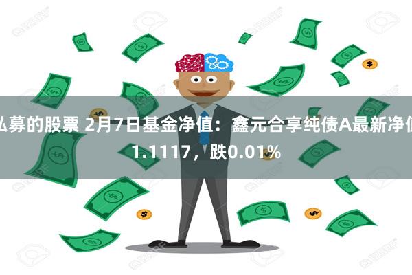 私募的股票 2月7日基金净值：鑫元合享纯债A最新净值1.1117，跌0.01%